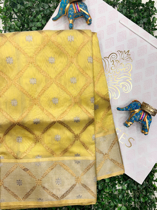 Mango Silk with Eknaliya Jaal