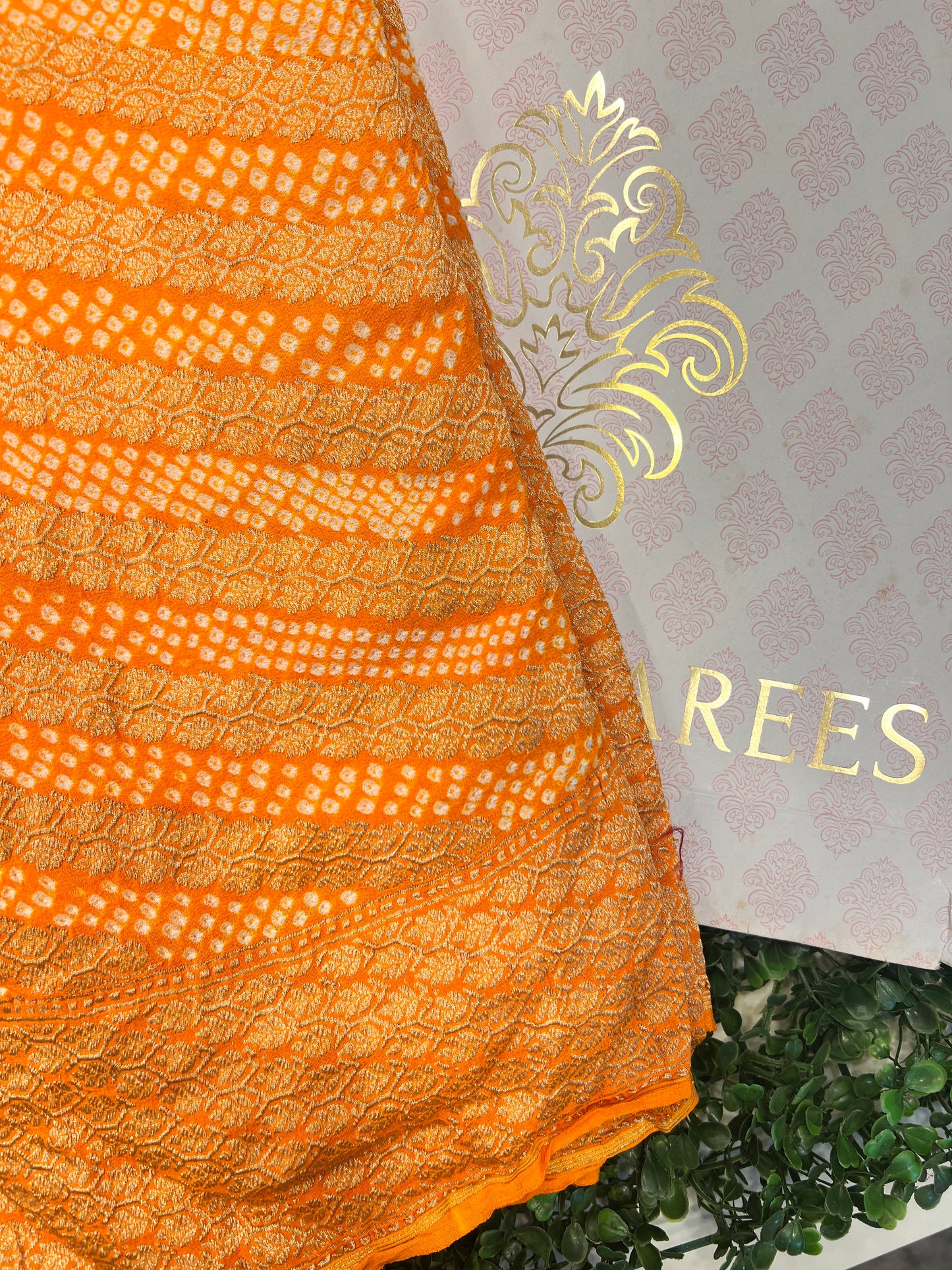 Rai Bandhej Banarasi Bandhani