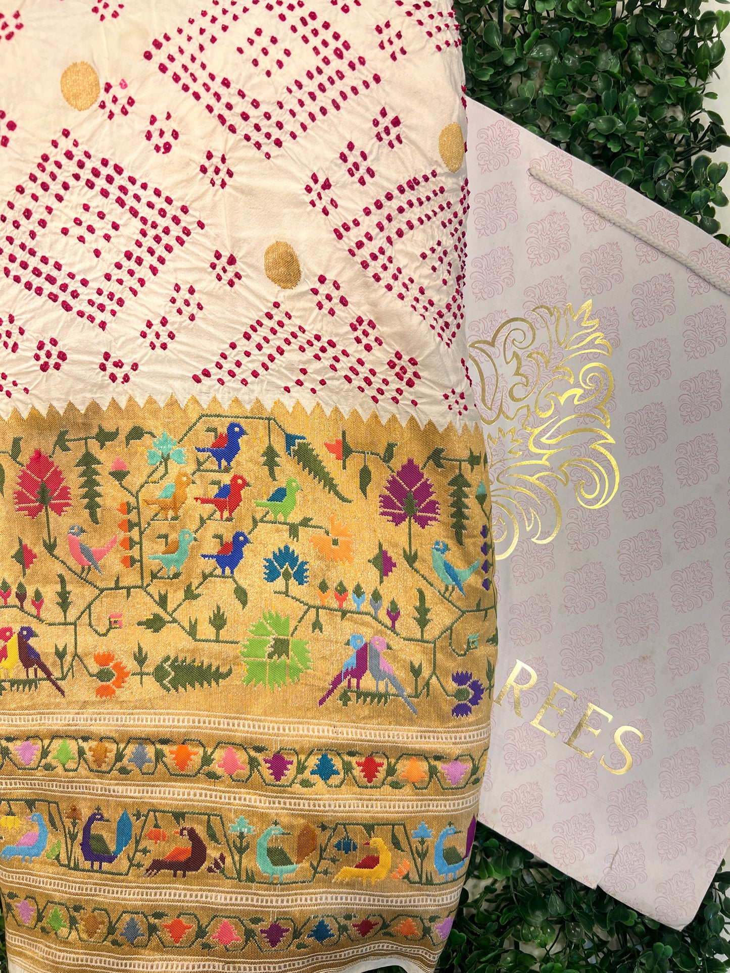 Bandhani with a Paithani Border