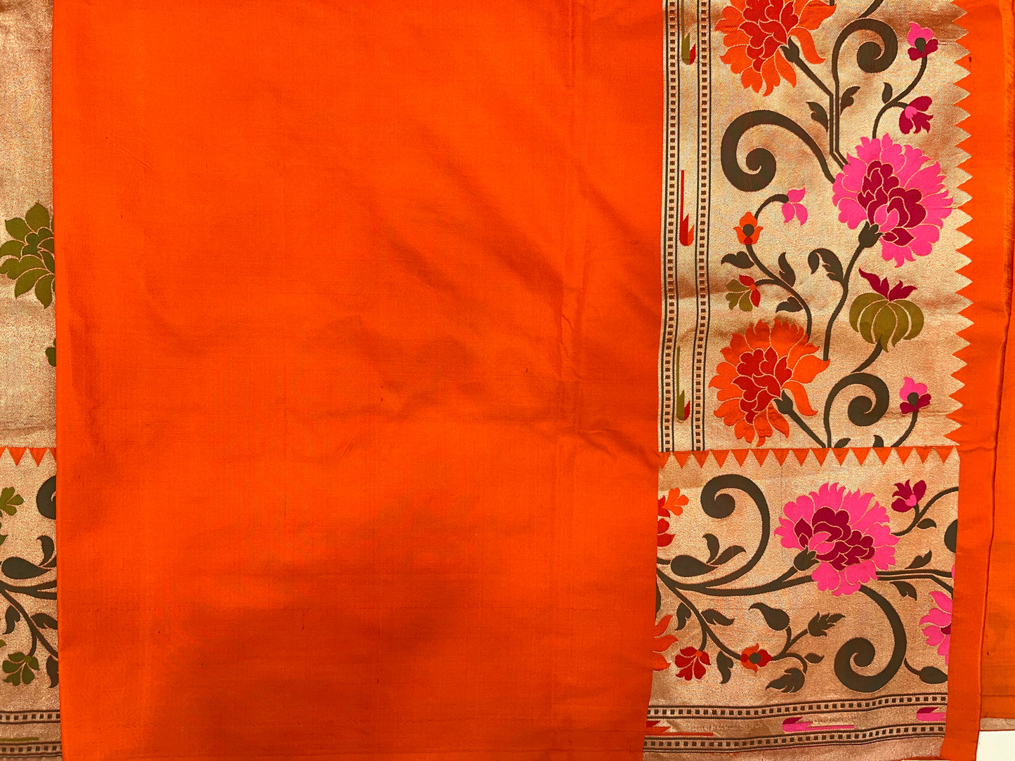 Banarasi Jaal with Paithani Border